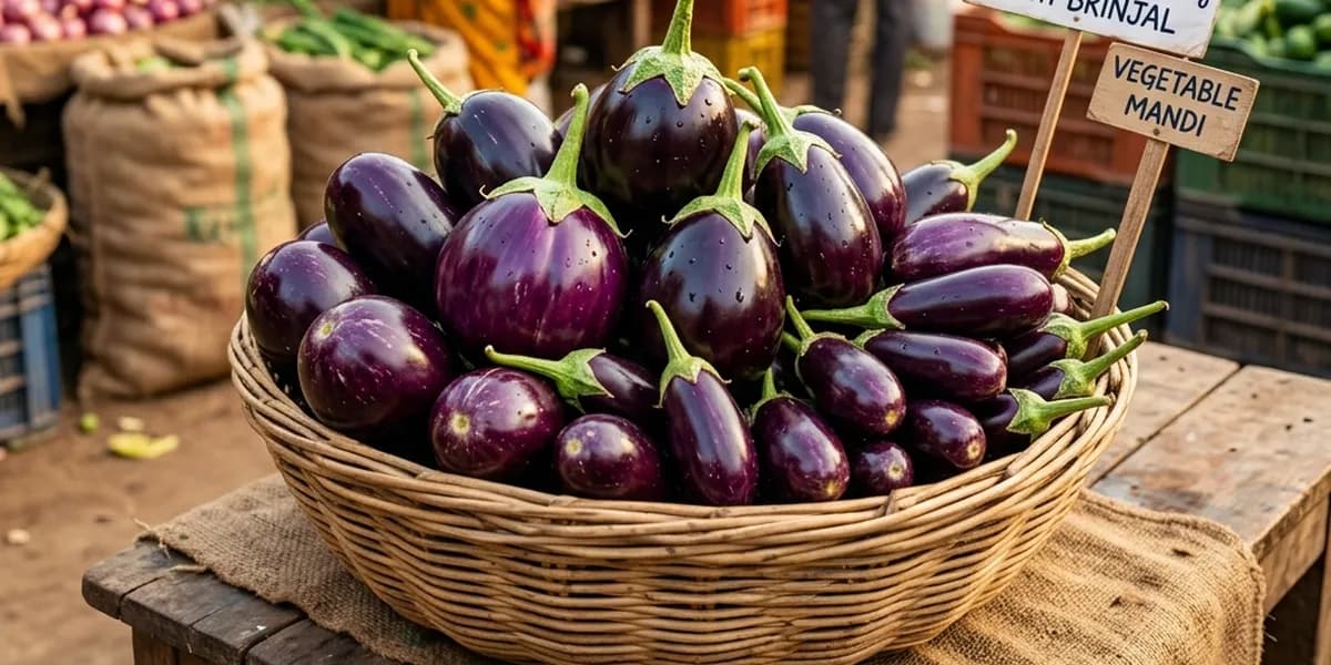 टोकरी में रखे ताज़ा बैंगन
